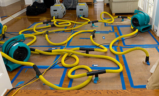 Professional Burst Pipe Water Damage technician working in Georges Mills, NH